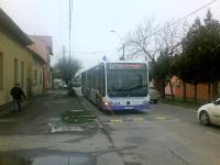 Imagine atasata: calmatoare 4.JPG